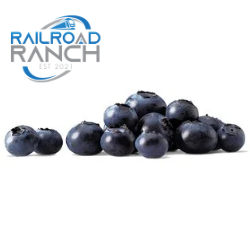 Organic Blue Berries 6 oz