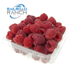Organic Raspberries 6oz
